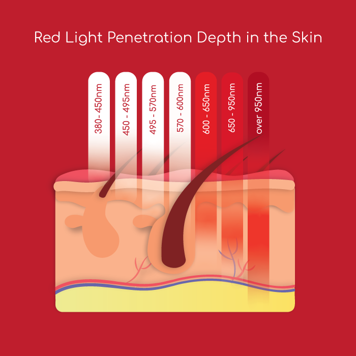 Rend Light Penetration Depth in the Skin